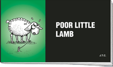 Poor Little Lamb